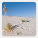 Suche nach yucca aufkleber Friel