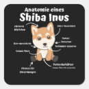 Suche nach shiba inus Welpe