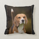 Recherche de de de beagle coussins Amoureux des chiens