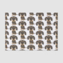 Recherche de fil cadeau emballages Chien