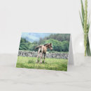 Recherche de colts vœux cartes Poney