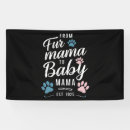 Suche nach katzen banner Haustier