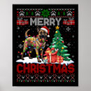 Suche nach malinois poster Weihnachten