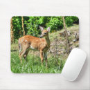 Suche nach gepunktete katze mousepads Natur