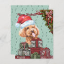 Recherche de poodle christmas vœux cartes Salutations