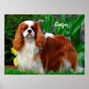 Recherche de spectacle posters Canine
