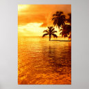 Recherche de sunset posters Palm tree