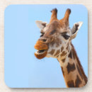 Suche nach giraffe untersetzer Lustig