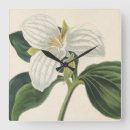 Suche nach botanische illustration wanduhren 19 jahrhundert