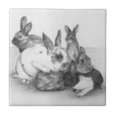Recherche de dessin lapin carreaux Animaux