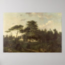 Suche nach zeder poster Liban