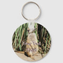 Suche nach meerkats accessoires Fotografie