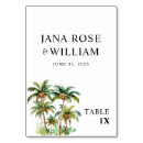 Suche nach tropen tischkarten Strand