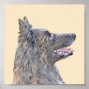 Recherche de chien de berger belge posters Dog