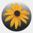 Suche nach susan aufkleber Gelbe blumen