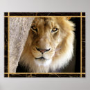 Suche nach big cat poster Wildtier