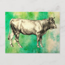 Recherche de vaches cartes postales Vache laitière