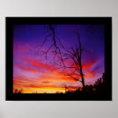 Suche nach toter baum poster Himmel