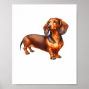 Suche nach weiner dog poster Welpe