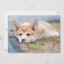 Recherche de yards vœux cartes Mignon