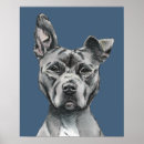 Recherche de chien gris posters Animaux