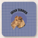 Suche nach irish Terrier
