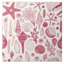 Recherche de palourdes carreaux Corail