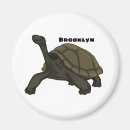 Recherche de tortue magnets Équateur