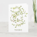 Recherche de thym cartes postales Aquarelle