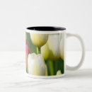 Suche nach rote tulpen tassen Blume
