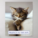 Recherche de funny cat poster Kitten