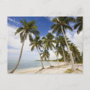 Recherche de saint domingue cartes postales Plage