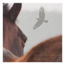 Suche nach rumi kunst Weisheit