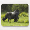 Suche nach vulkane mousepads Pflanzenfresser