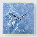 Recherche de complexe horloges Nature