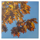 Suche nach herbst blätter fliesen Dekorativ