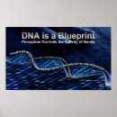 Suche nach biologe poster Dna