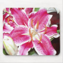 Suche nach makro mousepads Magenta