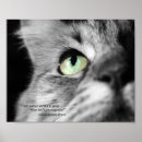 Suche nach katzenaugen poster Kätzchen