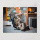 Suche nach kitesurf postkarten Katze