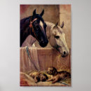 Recherche de chevaux vintages posters Cheval