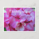 Recherche de pretty cartes postales Floral