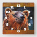 Recherche de ours horloges Animal