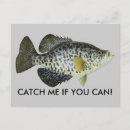 Recherche de capture cartes postales Pêche