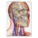 Suche nach hals postkarten Teil