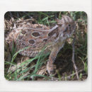 Recherche de corné tapis souris Lézard