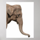 Suche nach grauer elefant poster Africa
