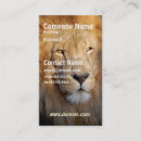 Recherche de roi lion cartes visite Prédateur