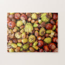 Suche nach nüsse puzzle Natur