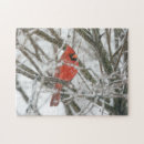 Suche nach kardinal puzzle Wild lebende tiere